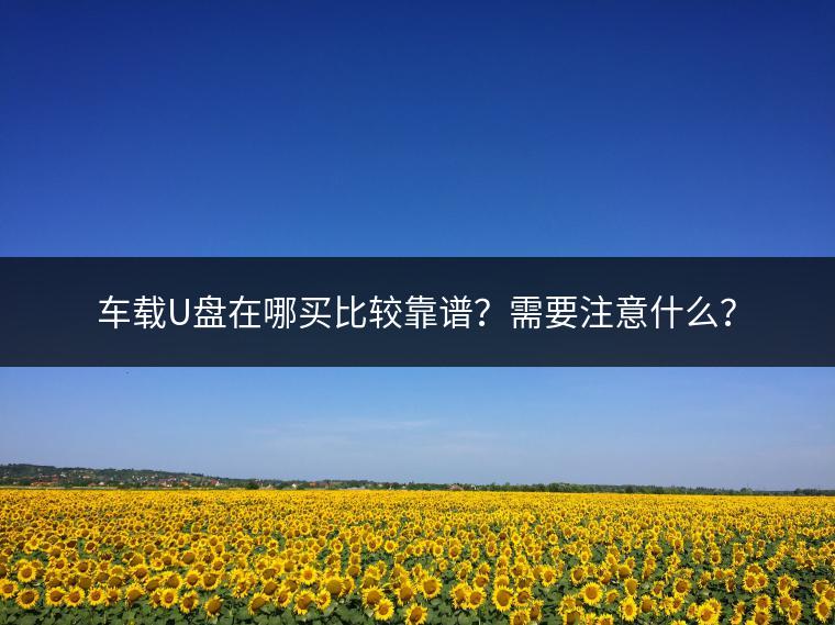 车载U盘在哪买比较靠谱？需要注意什么？