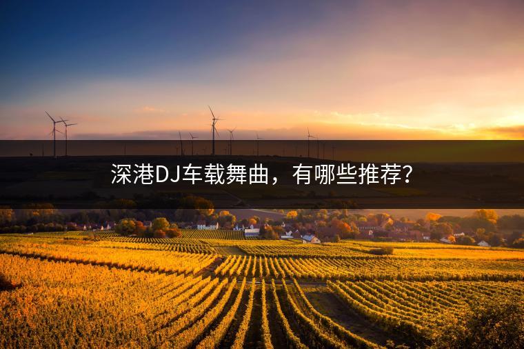 深港DJ车载舞曲，有哪些推荐？