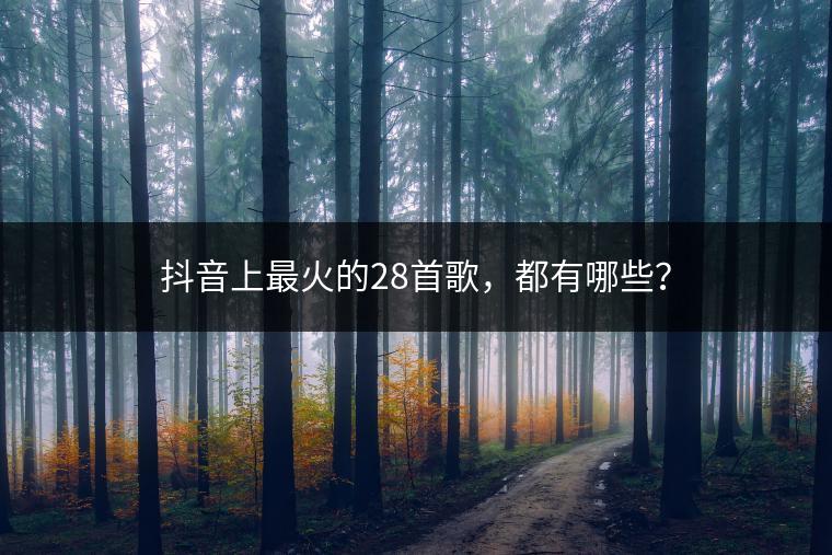 抖音上最火的28首歌，都有哪些？