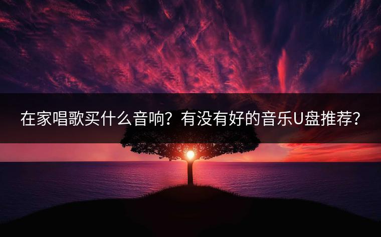 在家唱歌买什么音响？有没有好的音乐U盘推荐？