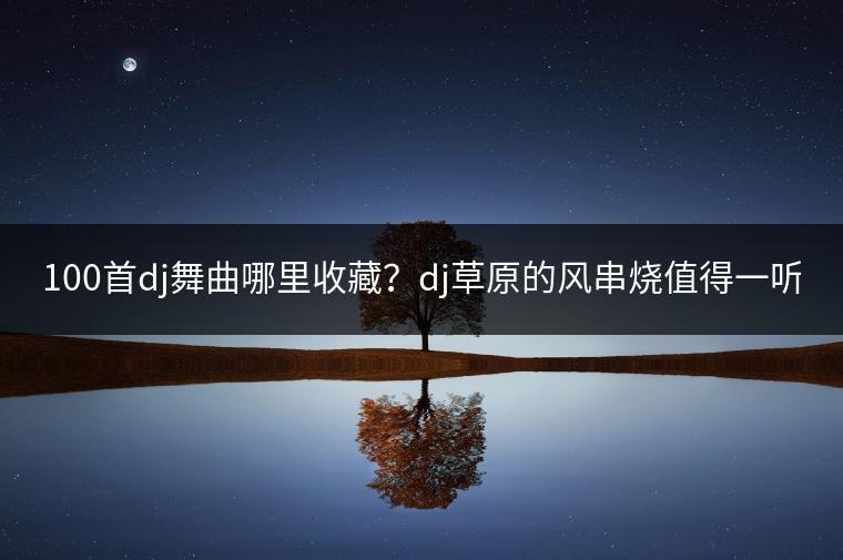 100首dj舞曲哪里收藏？dj草原的风串烧值得一听吗？