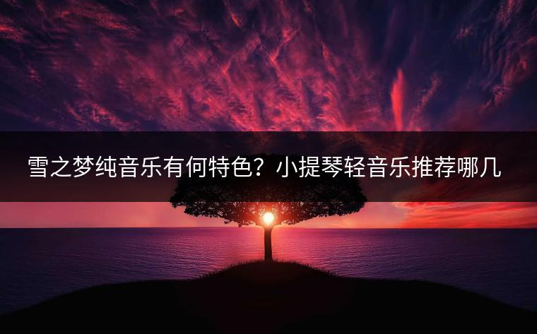 雪之梦纯音乐有何特色？小提琴轻音乐推荐哪几首？
