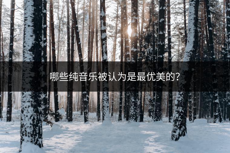 哪些纯音乐被认为是最优美的？