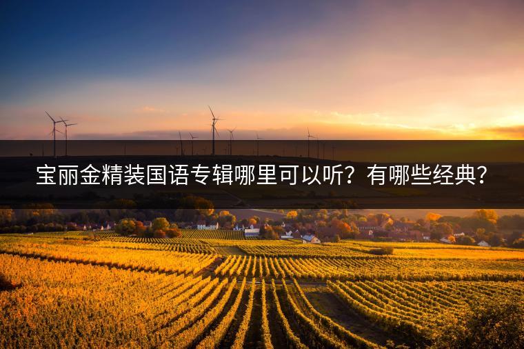 宝丽金精装国语专辑哪里可以听？有哪些经典？