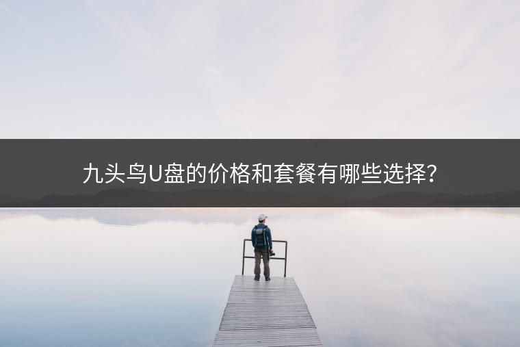 九头鸟U盘的价格和套餐有哪些选择？