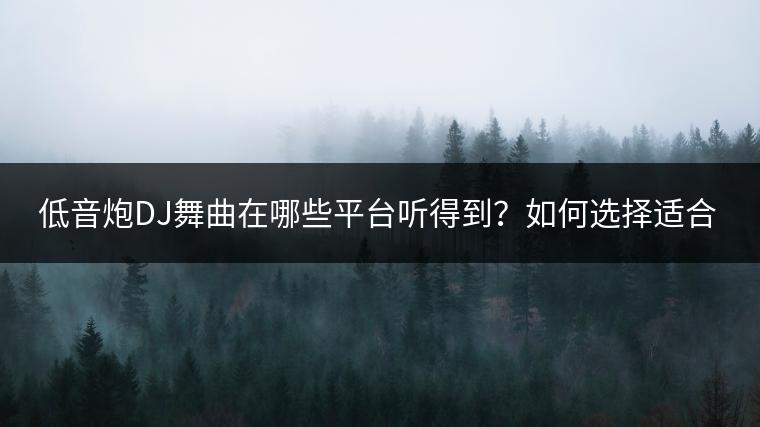低音炮DJ舞曲在哪些平台听得到？如何选择适合的低音音乐？