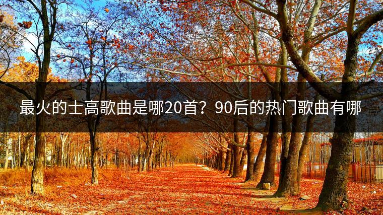 最火的士高歌曲是哪20首？90后的热门歌曲有哪些？