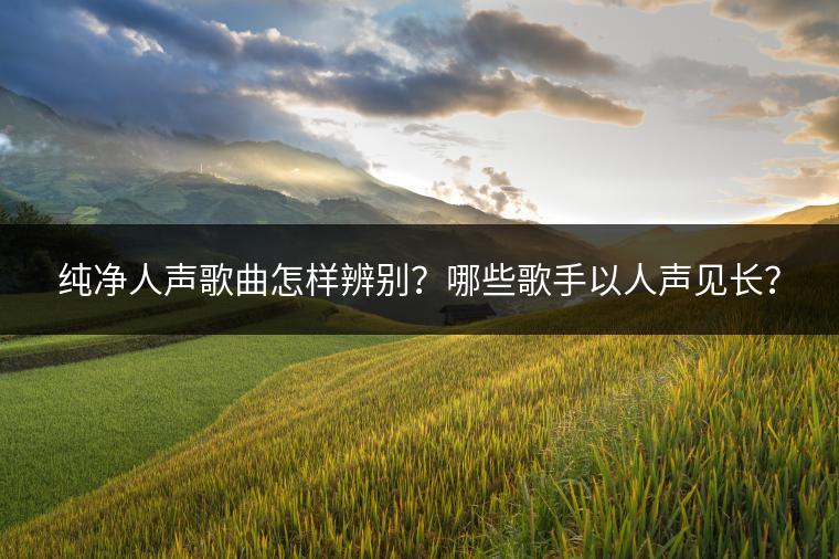 纯净人声歌曲怎样辨别？哪些歌手以人声见长？