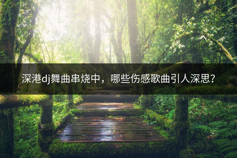 深港dj舞曲串烧中，哪些伤感歌曲引人深思？