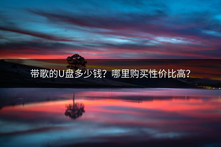 带歌的U盘多少钱？哪里购买性价比高？