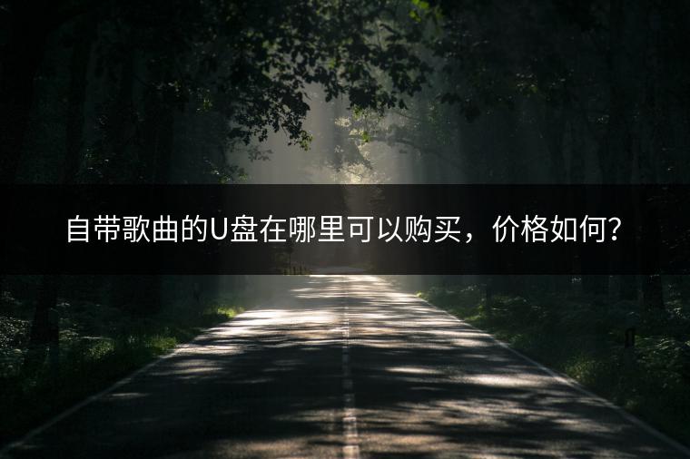 自带歌曲的U盘在哪里可以购买，价格如何？