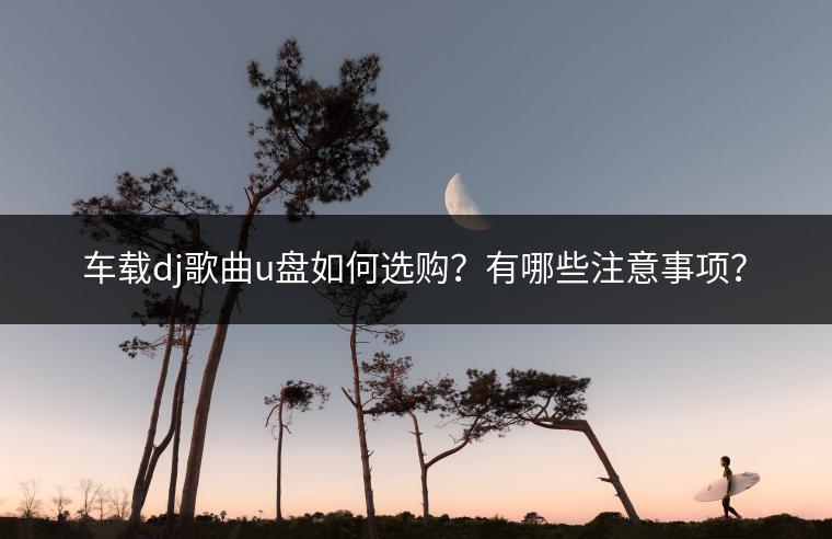 车载dj歌曲u盘如何选购？有哪些注意事项？