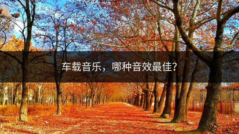 车载音乐，哪种音效最佳？