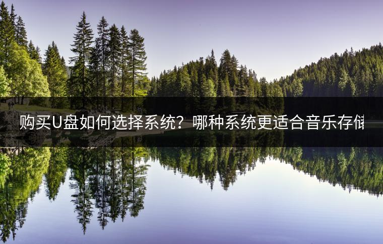 购买U盘如何选择系统？哪种系统更适合音乐存储？