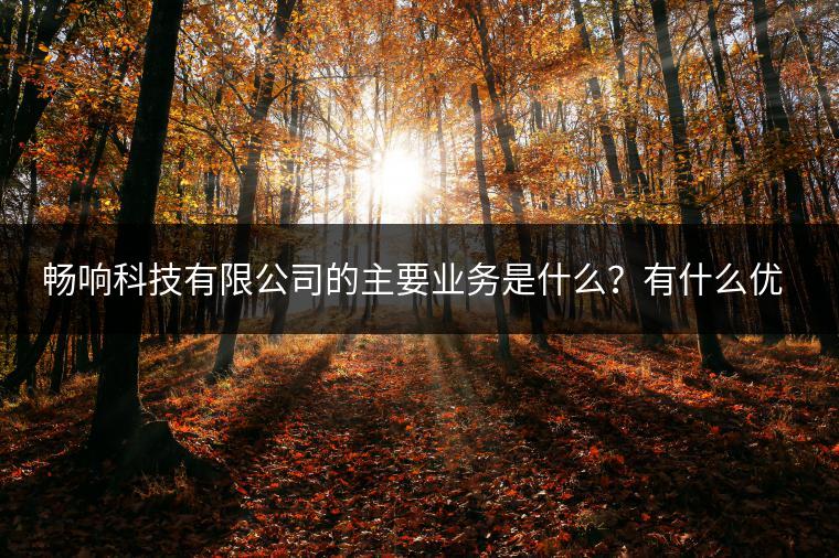 畅响科技有限公司的主要业务是什么？有什么优势？