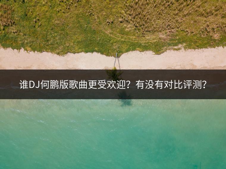 谁DJ何鹏版歌曲更受欢迎？有没有对比评测？
