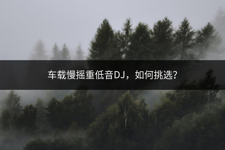 车载慢摇重低音DJ，如何挑选？