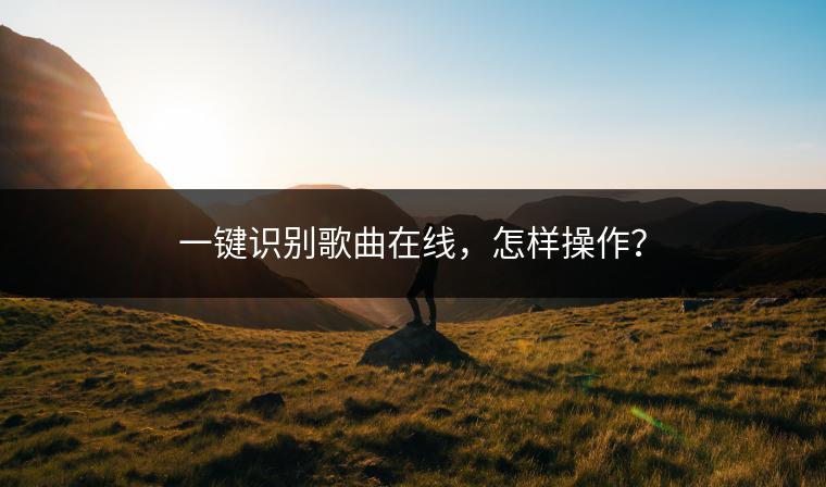 一键识别歌曲在线，怎样操作？
