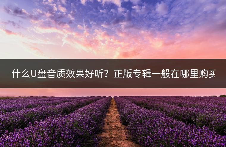 什么U盘音质效果好听？正版专辑一般在哪里购买？