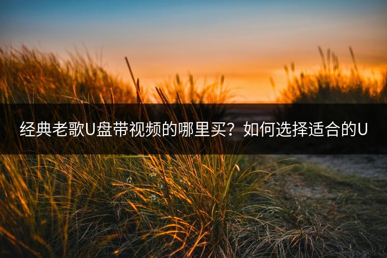 经典老歌U盘带视频的哪里买？如何选择适合的U盘？
