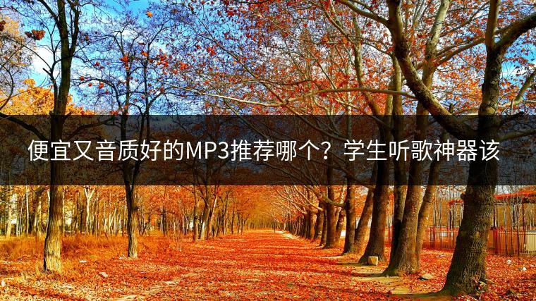 便宜又音质好的MP3推荐哪个？学生听歌神器该如何选择？