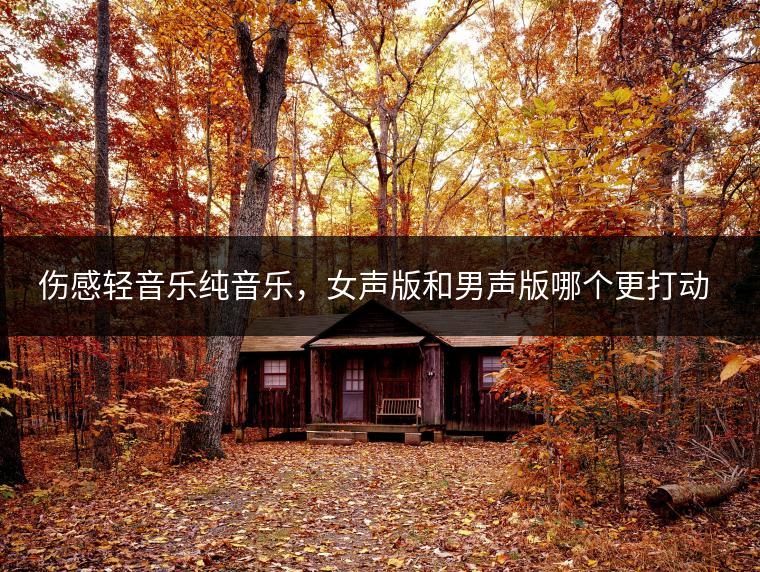 伤感轻音乐纯音乐，女声版和男声版哪个更打动人心？