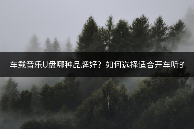车载音乐U盘哪种品牌好？如何选择适合开车听的音乐？