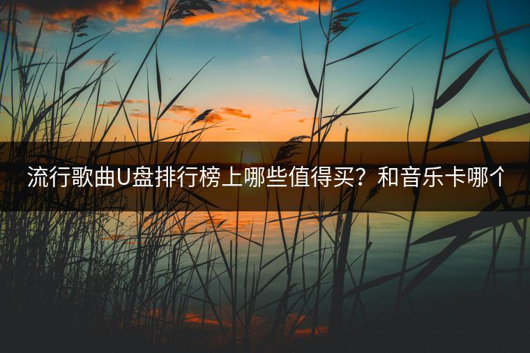 流行歌曲U盘排行榜上哪些值得买？和音乐卡哪个更实用？