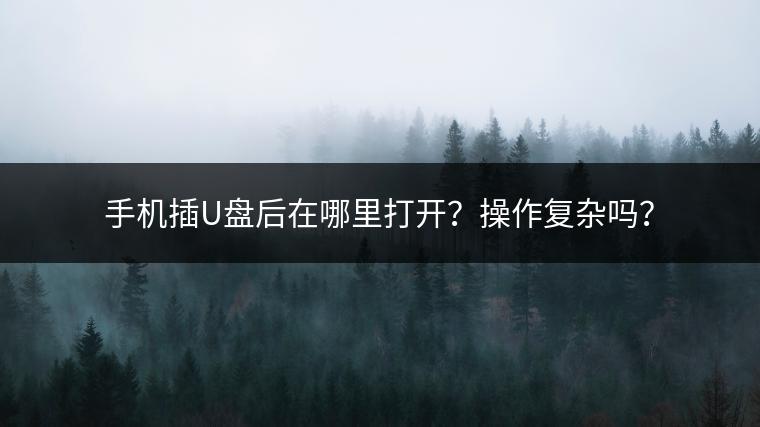 手机插U盘后在哪里打开？操作复杂吗？