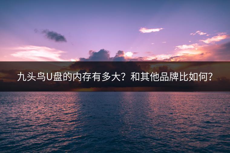 九头鸟U盘的内存有多大？和其他品牌比如何？