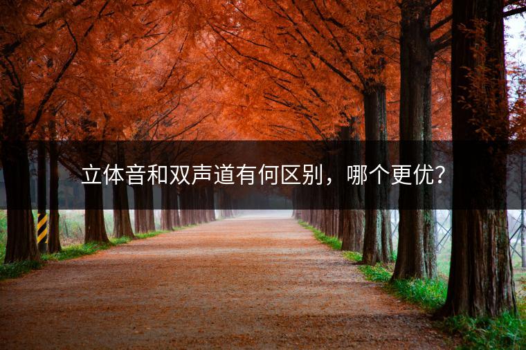 立体音和双声道有何区别，哪个更优？