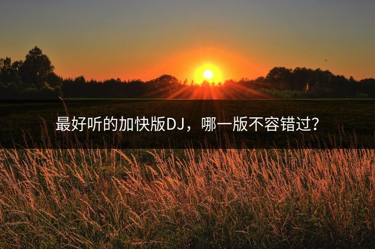 最好听的加快版DJ，哪一版不容错过？