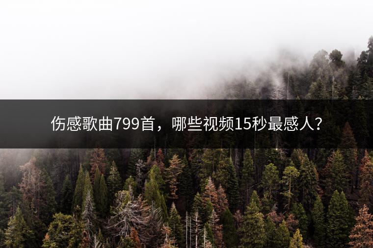 伤感歌曲799首，哪些视频15秒最感人？