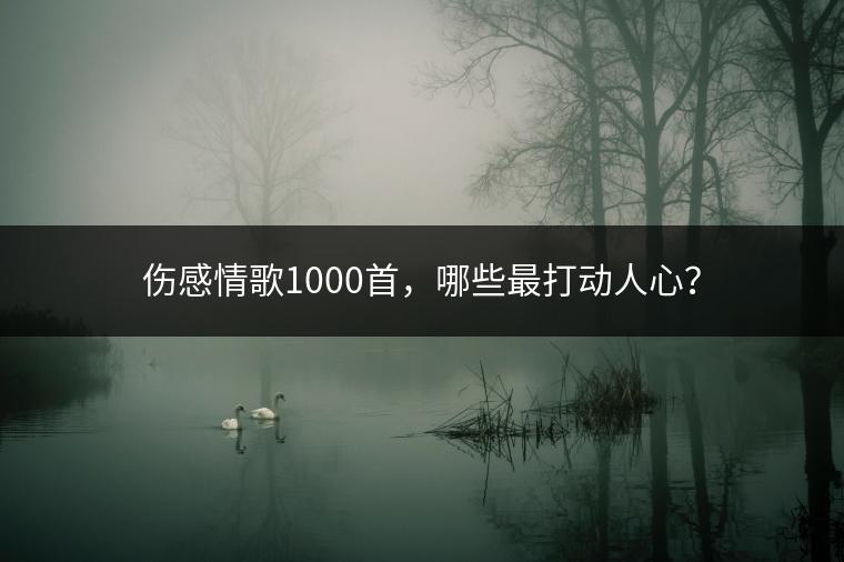 伤感情歌1000首，哪些最打动人心？