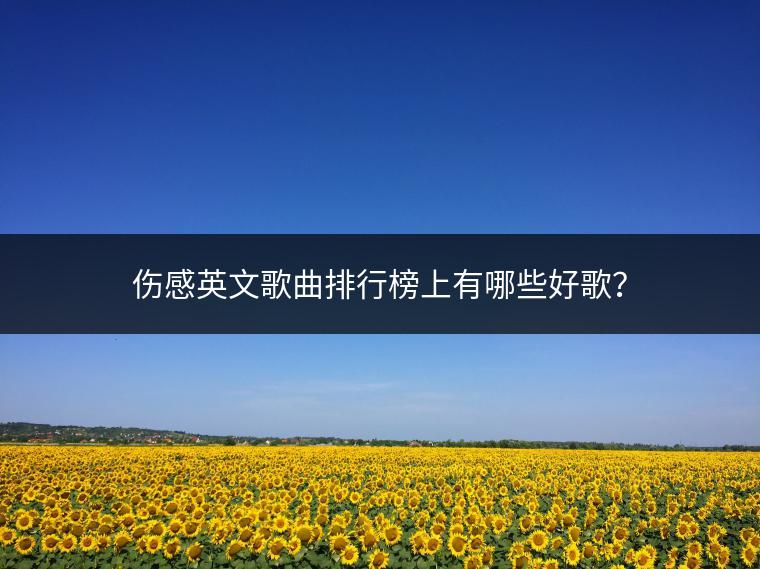 伤感英文歌曲排行榜上有哪些好歌？