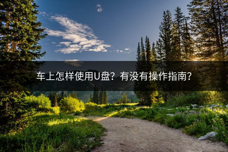 车上怎样使用U盘？有没有操作指南？