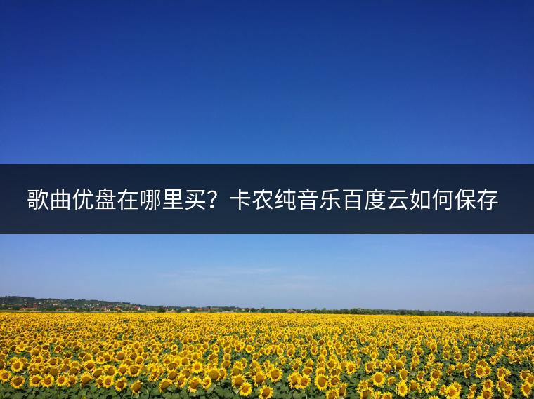 歌曲优盘在哪里买？卡农纯音乐百度云如何保存？
