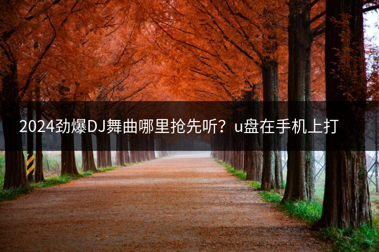 2024劲爆DJ舞曲哪里抢先听？u盘在手机上打开失败的解决办