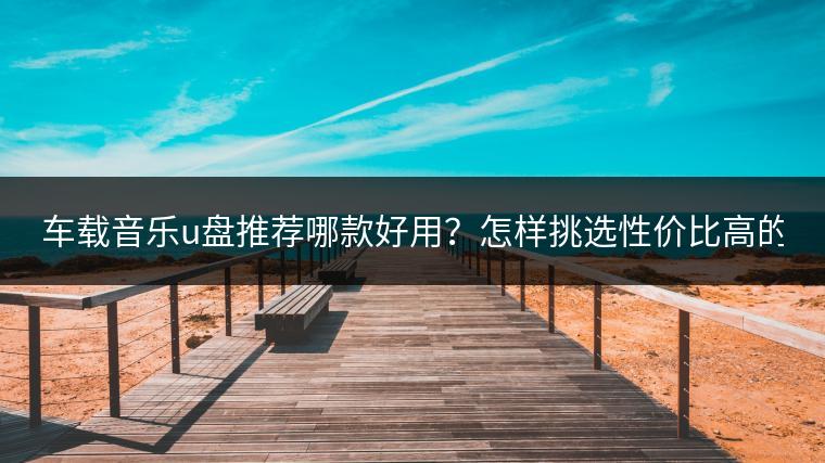 车载音乐u盘推荐哪款好用？怎样挑选性价比高的？