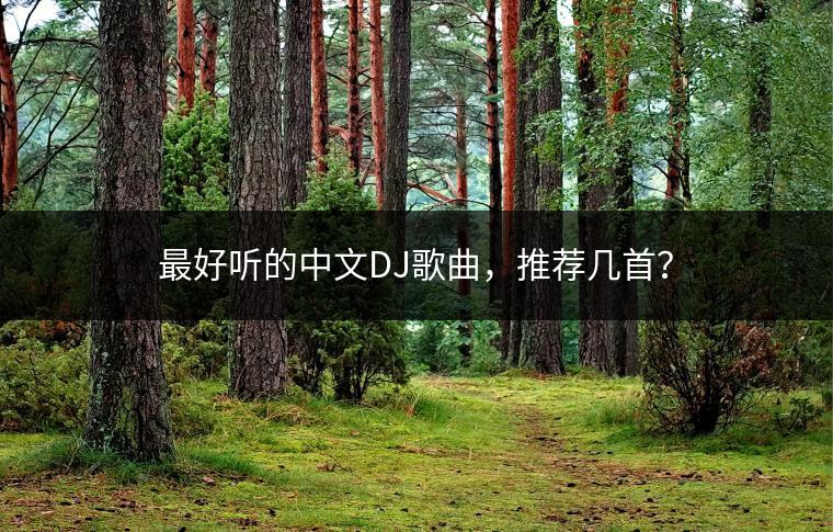 最好听的中文DJ歌曲，推荐几首？
