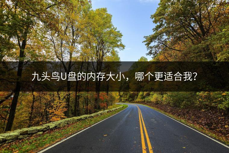 九头鸟U盘的内存大小，哪个更适合我？
