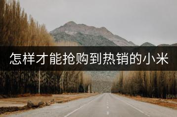 怎样才能抢购到热销的小米6？-千羽学社
