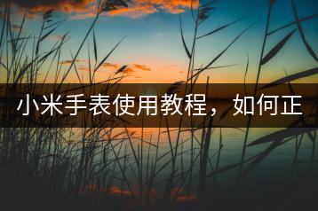 小米手表使用教程，如何正确使用？-千羽学社