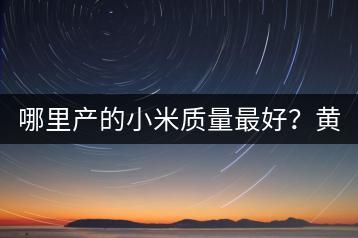 哪里产的小米质量最好？黄小米产地揭秘！-千羽学社