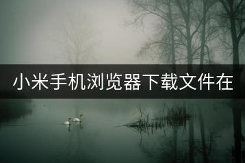 小米手机浏览器下载文件在哪？如何查找下载文件？-千羽学社