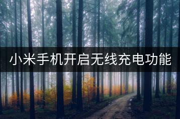 小米手机开启无线充电功能，充电更便捷。-千羽学社
