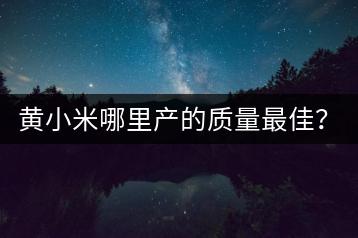 黄小米哪里产的质量最佳？产地推荐！-千羽学社