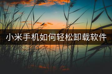 小米手机如何轻松卸载软件？哪些方法最有效？-千羽学社