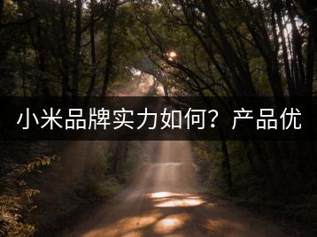 小米品牌实力如何？产品优势与市场地位分析！-千羽学社