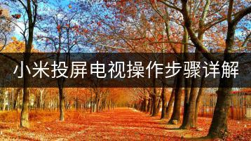小米投屏电视操作步骤详解，为何选择小米？-千羽学社